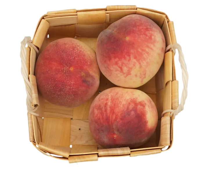 三个水果毛桃(2362*2000px 300 dpi )