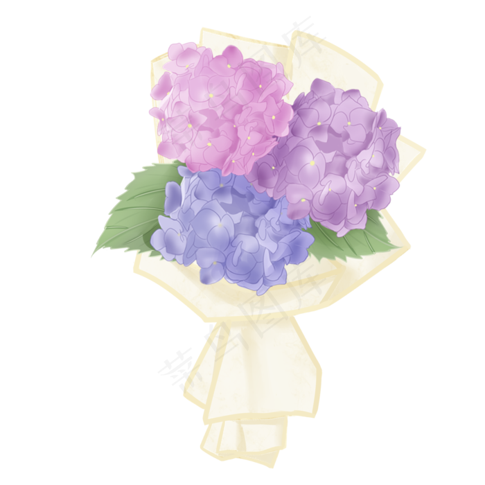 手绘节日绣球花束,免抠元素