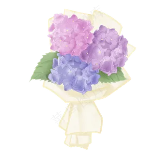 手绘节日绣球花束,免抠元素