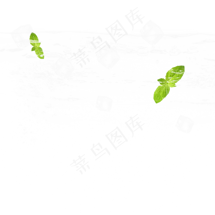 清新薄荷叶冰块冰晶元素,免抠元素(2000*2000px 300 dpi )psd模版下载