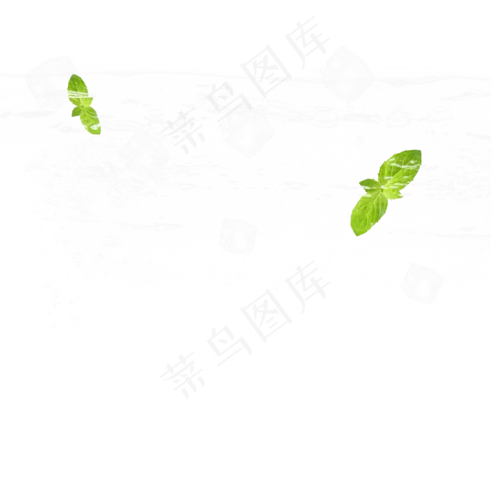 清新薄荷叶冰块冰晶元素,免抠元素(2000*2000px 300 dpi )psd模版下载