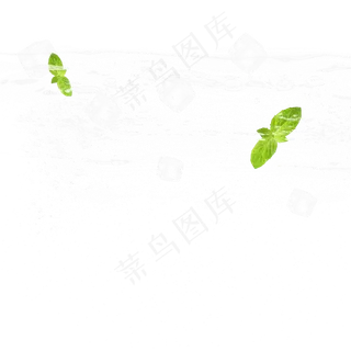 清新薄荷叶冰块冰晶元素,免抠元素