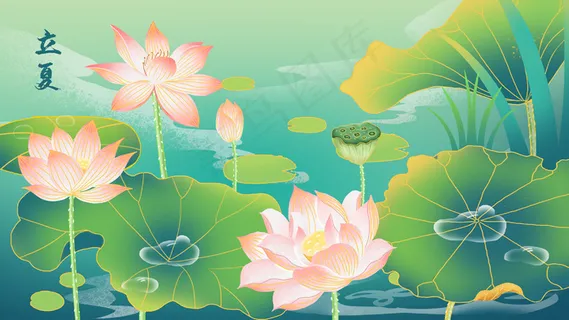 立夏夏天荷花池荷叶风景清平乐清新 立夏夏天荷花池荷叶风景清平乐清新