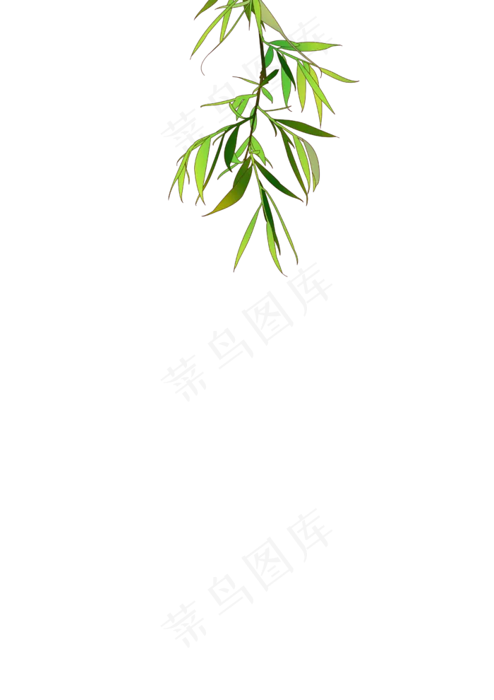 春分柳叶免扣元素,免抠元素(2480X3508(DPI:300))psd模版下载