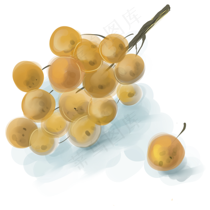 水墨淡彩桂圆(2000X2000(DPI:300))psd模版下载