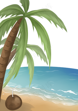 海滩椰树