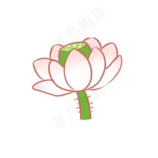 卡通小清新夏日荷花