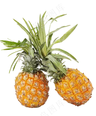 水果菠萝