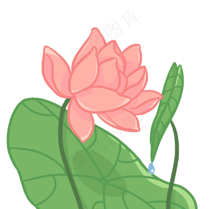 含苞欲放荷花插画