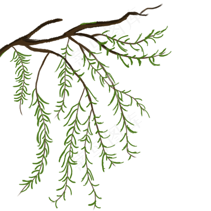 春节柳枝植物手绘素材,免抠元素