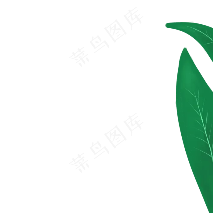 卡通植物绿叶下载(2000X2000(DPI:300))psd模版下载