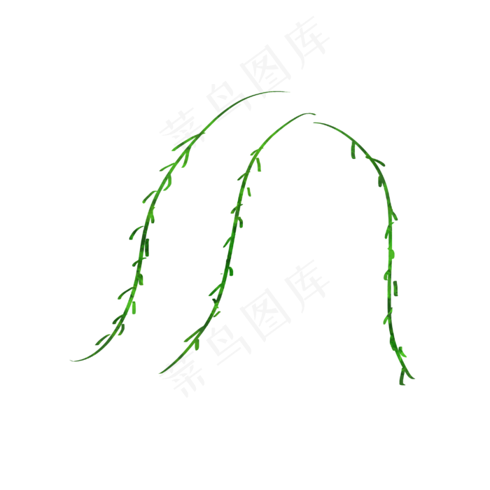 柳树树枝装饰卡通手绘风格