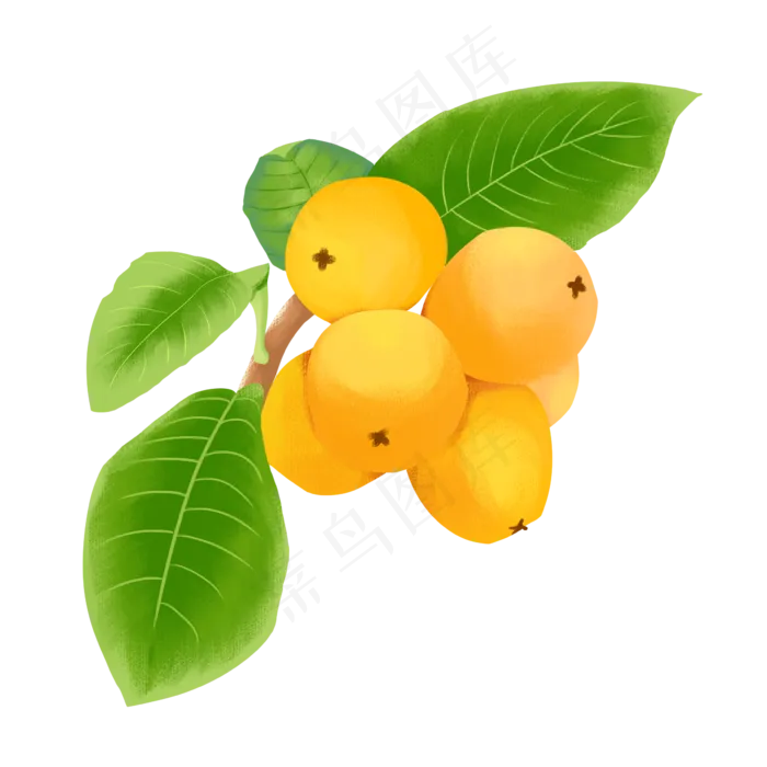 黄色夏季水果(2362X2362(DPI:300))psd模版下载