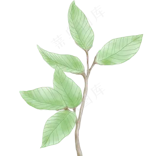 春天树叶绿色清新可爱手绘元素