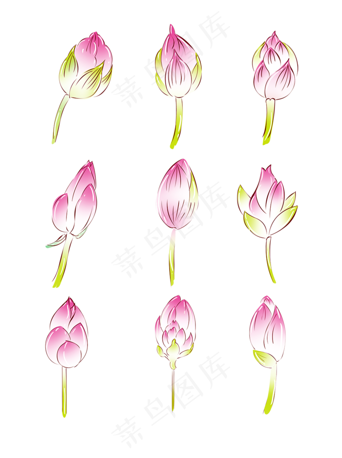 植物荷花莲花花苞(3072X4107(DPI:300))psd模版下载