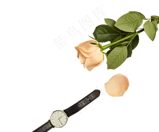 玫瑰花和手表