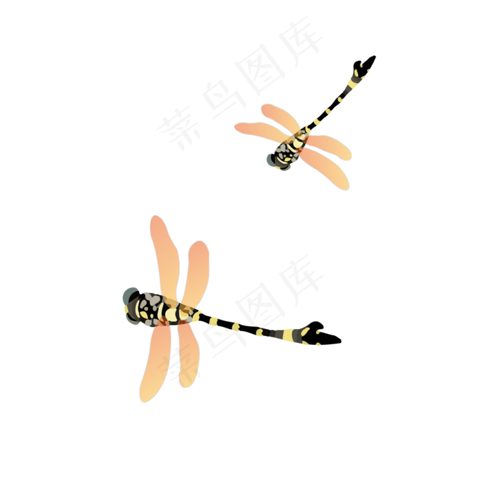 中国风水墨花蜻蜓矢量图