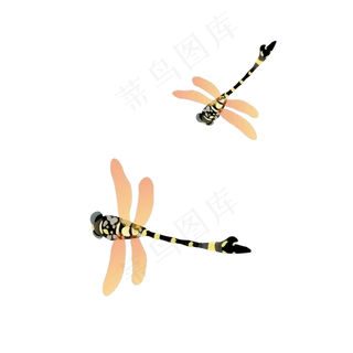中国风水墨花蜻蜓矢量图