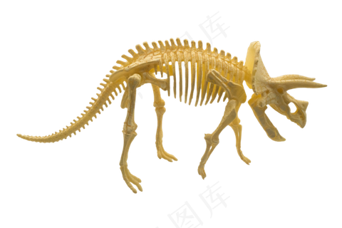 恐龙化石摆件,免抠元素