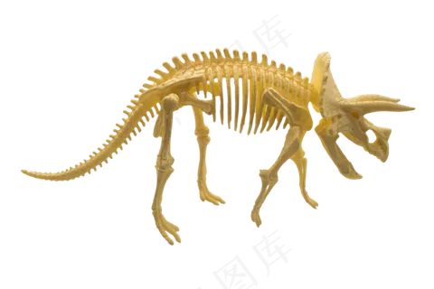 恐龙化石摆件,免抠元素