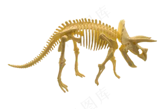 恐龙化石摆件,免抠元素