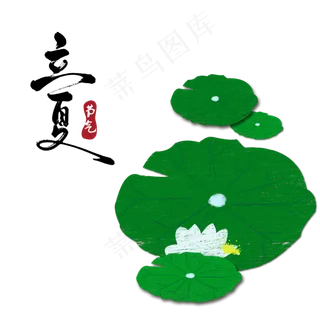 立夏节气卡通手绘荷花