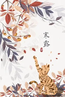寒露秋天猫与柿子树寒冷手绘风插图