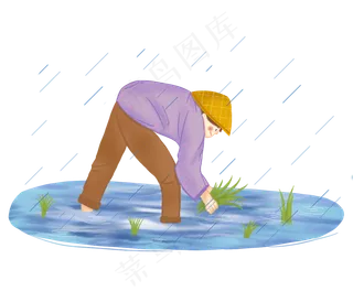谷雨插秧的小男孩