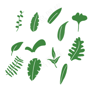各种叶子手绘