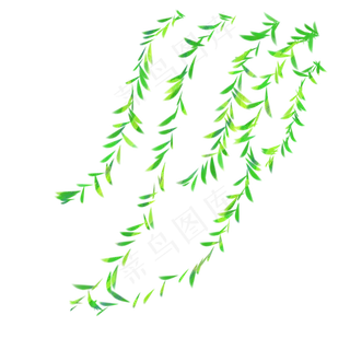 春天柳树枝发新芽