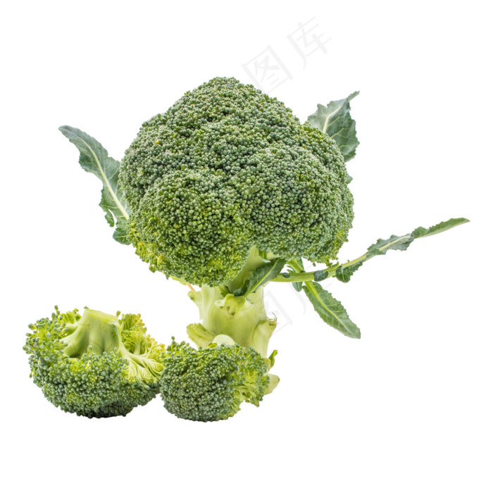 菜蔬花椰菜(3000*3000px 300 dpi )