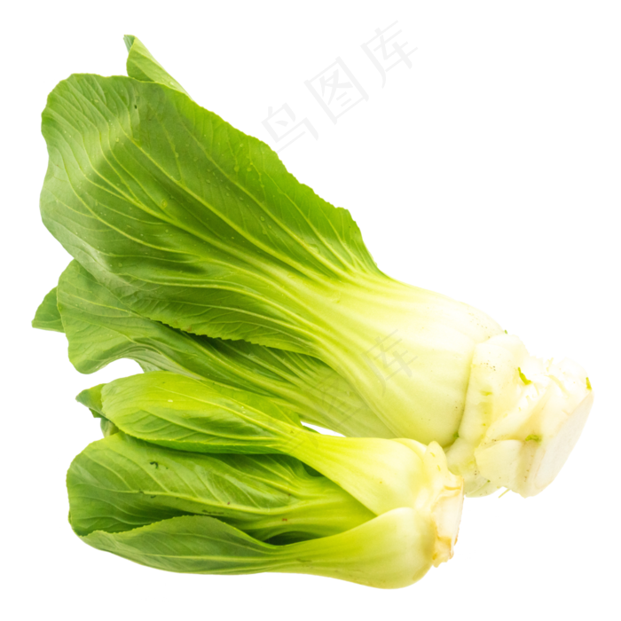 新鲜蔬菜油菜(3000X3000(DPI:300))