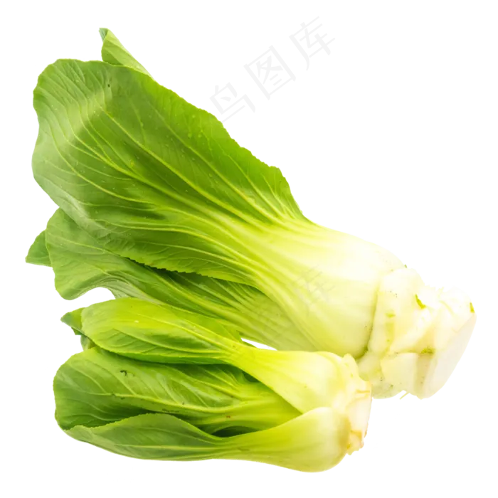 新鲜蔬菜油菜(3000X3000(DPI:300))