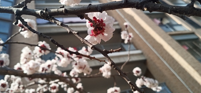 春日阳光下的生机