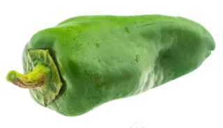 绿色辣椒食材