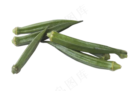 安全食物药用价值 安全食物药用价值