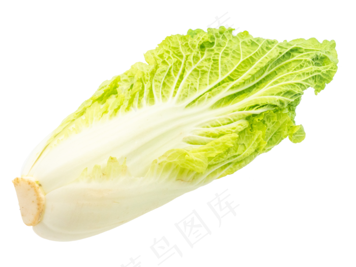 一个白菜蔬菜