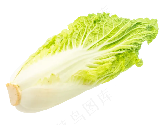 一个白菜蔬菜(3000X3000(DPI:300))
