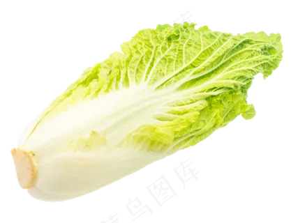 一个白菜蔬菜