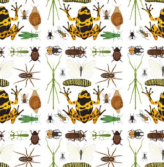 与许多昆虫在白色背景上的无缝模式