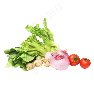 生菜洋葱番茄姜