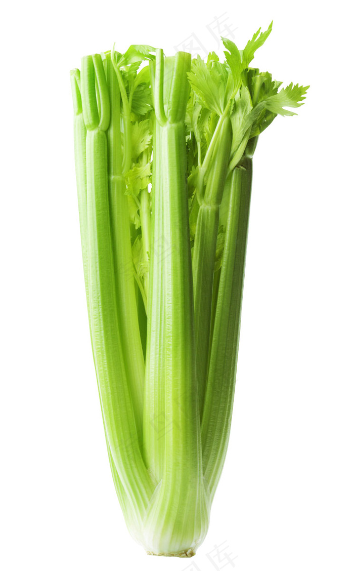芹菜 切段芹菜psd模版下载