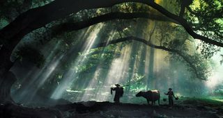 福建泉州自然风光摄影图