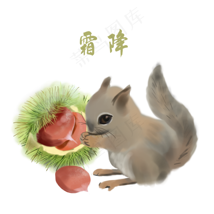 霜降栗子松鼠手绘(2000X2000(DPI:300))psd模版下载