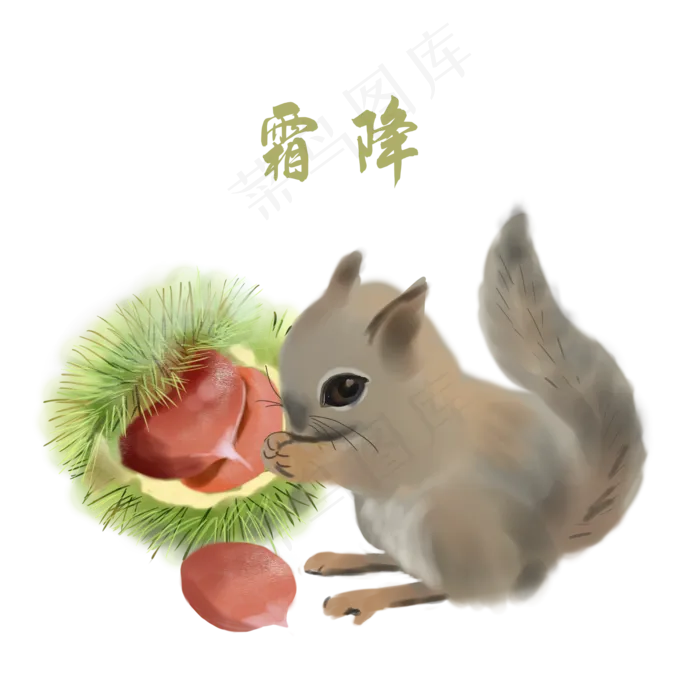 霜降栗子松鼠手绘(2000X2000(DPI:300))psd模版下载