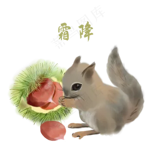 霜降栗子松鼠手绘