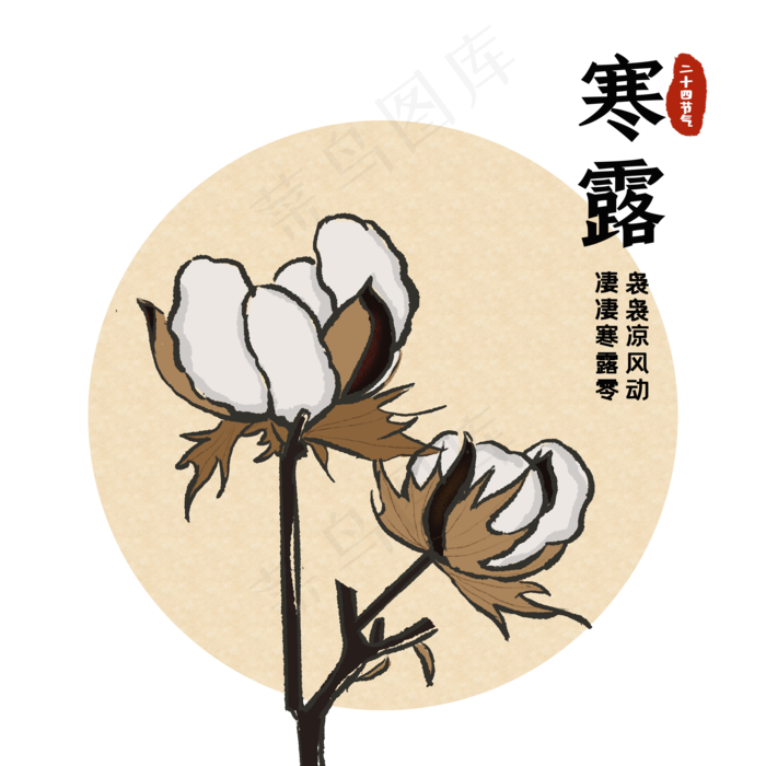 寒露棉花(2200X2200(DPI:300))psd模版下载