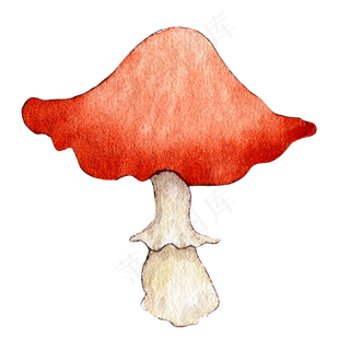 水彩秋日雨后蘑菇