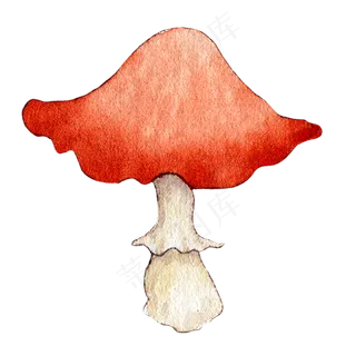水彩秋日雨后蘑菇