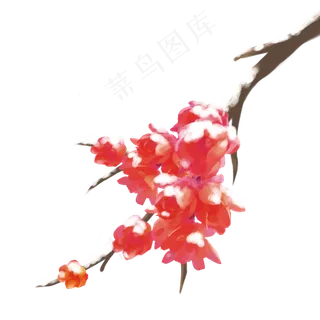 冬季红色梅花树枝积雪唯美免抠